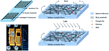 Graphical abstract: A high performance surface acoustic wave visible light sensor using novel materials: Bi2S3 nanobelts