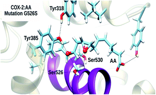 Graphical abstract: Unraveling how the Gly526Ser mutation arrests prostaglandin formation from arachidonic acid catalyzed by cyclooxygenase-2: a combined molecular dynamics and QM/MM study