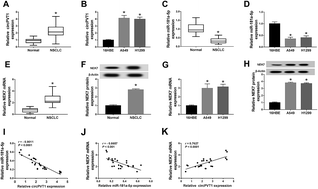 Graphical abstract: Retracted Article: CircRNA PVT1 modulates cell metastasis via the miR-181a-5p/NEK7 axis and cisplatin chemoresistance through miR-181a-5p-mediated autophagy in non-small cell lung cancer