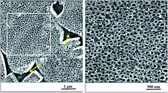 Graphical abstract: Mesenchymal stem cell interaction with Ti6Al4V alloy pre-exposed to simulated body fluid