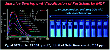 Graphical abstract: Selective sensing and visualization of pesticides by ABW-type metal–organic framework based luminescent sensors