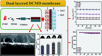 Graphical abstract: PFOM fillers embedded PVDF/cellulose dual-layered membranes with hydrophobic–hydrophilic channels for desalination via direct contact membrane distillation process