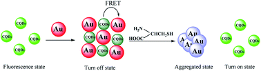 Graphical abstract: Switch on fluorescence mode for determination of l-cysteine with carbon quantum dots and Au nanoparticles as a probe