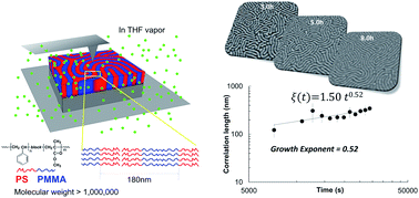 Graphical abstract: Real-time and in situ observation of structural evolution of giant block copolymer thin film under solvent vapor annealing by atomic force microscopy