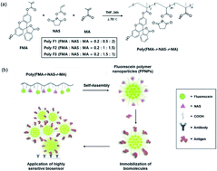 Graphical abstract: Novel fluorescein polymer-based nanoparticles: facile and controllable one-pot synthesis, assembly, and immobilization of biomolecules for application in a highly sensitive biosensor