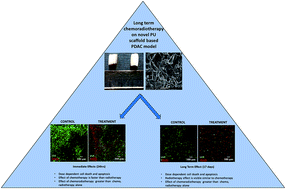 Graphical abstract: Chemoradiotherapy screening in a novel biomimetic polymer based pancreatic cancer model