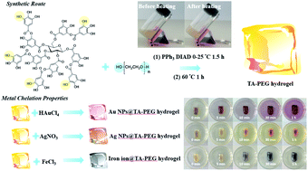 Graphical abstract: Synthesis and characterization of tannic acid–PEG hydrogel via Mitsunobu polymerization