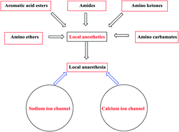 Graphical abstract: Synthesis and biological activities of local anesthetics