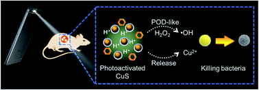 Graphical abstract: Using a visible light-triggered pH switch to activate nanozymes for antibacterial treatment
