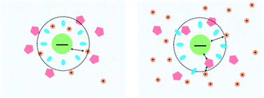 Graphical abstract: The promotion and suppression of DNA charge neutralization by the cosolute ectoine