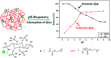 Graphical abstract: Cross-linking of poly(dimethylaminoethyl methacrylate) by phytic acid: pH-responsive adsorbent for high-efficiency removal of cationic and anionic dyes