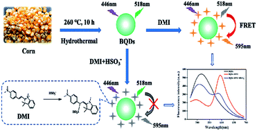 Graphical abstract: A new ratiometric fluorescence assay based on resonance energy transfer between biomass quantum dots and organic dye for the detection of sulfur dioxide derivatives