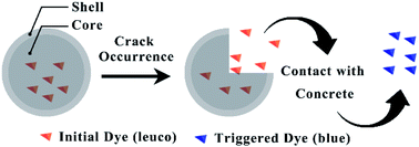 Graphical abstract: Microcapsule encapsulated with leuco dye as a visual sensor for concrete damage indication via color variation