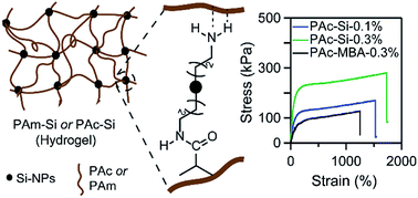 Graphical abstract: Bi-functional silica nanoparticles for simultaneous enhancement of mechanical strength and swelling capacity of hydrogels