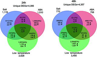 Graphical abstract: Retracted Article: Investigation of yellow horn (Xanthoceras sorbifolia Bunge) transcriptome in response to different abiotic stresses: a comparative RNA-Seq study