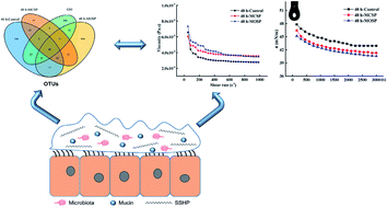 Graphical abstract: The influence of gut microbiota on the rheological characterization of soy hull polysaccharide and mucin interactions