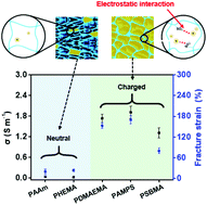 Graphical abstract: High-performance double-network ionogels enabled by electrostatic interaction