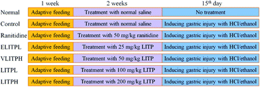 Graphical abstract: Liubao Insect tea polyphenols prevent HCl/ethanol induced gastric damage through its antioxidant ability in mice