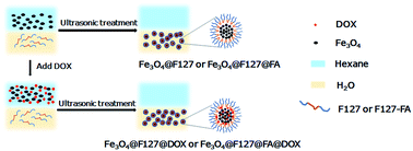 Graphical abstract: Folic acid modified Fe3O4 nanoclusters by a one-step ultrasonic technique for drug delivery and MR imaging