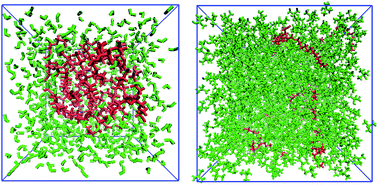 Graphical abstract: Insight into structural properties of polyethylene glycol monolaurate in water and alcohols from molecular dynamics studies