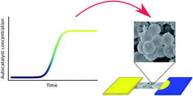 Graphical abstract: Directional coupling in spatially distributed nanoreactors