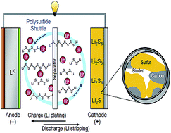 Graphical abstract: Application of MoS2 in the cathode of lithium sulfur batteries