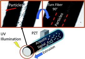 Graphical abstract: Acoustophoretic assembly of millimeter-scale Janus fibers