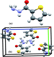 Graphical abstract: Synthesis and amide imidic prototropic tautomerization in thiophene-2-carbohydrazide: XRD, DFT/HSA-computation, DNA-docking, TG and isoconversional kinetics via FWO and KAS models