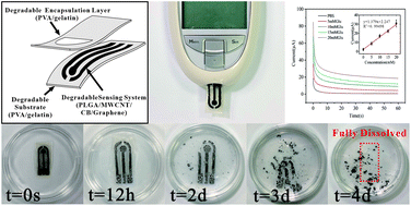 Graphical abstract: Fully transient electrochemical testing strips for eco-friendly point of care testing
