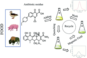Graphical abstract: Rapidly detecting antibiotics with magnetic nanoparticle coated CdTe quantum dots