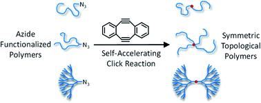 Graphical abstract: Efficient polymer dimerization method based on self-accelerating click reaction