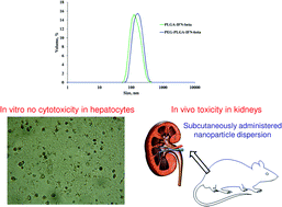 Graphical abstract: Sustained in vitro interferon-beta release and in vivo toxicity of PLGA and PEG-PLGA nanoparticles