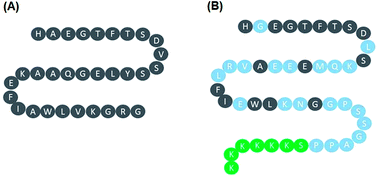 Graphical abstract: The protective effects of GLP-1 receptor agonist lixisenatide on oxygen-glucose deprivation/reperfusion (OGD/R)-induced deregulation of endothelial tube formation