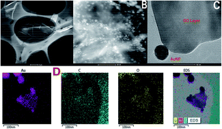 Graphical abstract: Graphene oxide-Au nano particle coated quartz crystal microbalance biosensor for the real time analysis of carcinoembryonic antigen