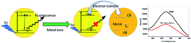 Graphical abstract: Metal oxide QD based ultrasensitive microsphere fluorescent sensor for copper, chromium and iron ions in water