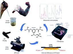 Graphical abstract: Chemical fingerprinting and quantitative monitoring of the doping drugs bambuterol and terbutaline in human urine samples using ATR-FTIR coupled with a PLSR chemometric tool