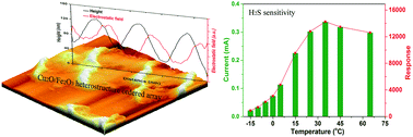 Graphical abstract: H2S detection at low temperatures by Cu2O/Fe2O3 heterostructure ordered array sensors