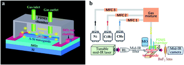 Graphical abstract: Real-time and non-destructive hydrocarbon gas sensing using mid-infrared integrated photonic circuits