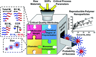 Graphical abstract: Rigor and reproducibility in polymer nanoparticle synthesis and characterization