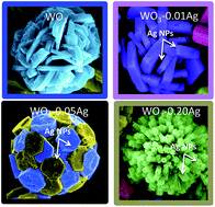 Graphical abstract: One-step controllable synthesis of three-dimensional WO3 hierarchical architectures with different morphologies decorated with silver nanoparticles: enhancing the photocatalytic activity