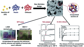 Graphical abstract: Essential oil loaded pectin/chitosan nanoparticles preparation and optimization via Box–Behnken design against MCF-7 breast cancer cell lines