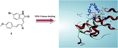 Graphical abstract: Saccharomonosporine A inspiration; synthesis of potent analogues as potential PIM kinase inhibitors