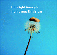 Graphical abstract: Ultralight magnetic aerogels from Janus emulsions