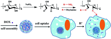 Graphical abstract: pH-responsive polymeric nanoparticles with tunable sizes for targeted drug delivery