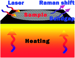 Graphical abstract: Bond-photon-phonon thermal relaxation in the M(X, X2) (M = Mo, Re, Ta, Ge, Sn; X = S, Se, and Te)