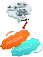 Graphical abstract: Facile fabrication of bimetallic Fe–Mg MOF for the synthesis of xanthenes and removal of heavy metal ions