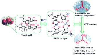 Graphical abstract: The construction of novel and efficient hafnium catalysts using naturally existing tannic acid for Meerwein–Ponndorf–Verley reduction