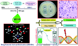 Graphical abstract: In vitro toxicity assessment and enhanced drug solubility profile of green deep eutectic solvent derivatives (DESDs) combined with theoretical validation