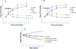 Graphical abstract: Xanthohumol from Humulus lupulus L. potentiates the killing of Mycobacterium tuberculosis and mitigates liver toxicity by the combination of isoniazid in mouse tuberculosis models