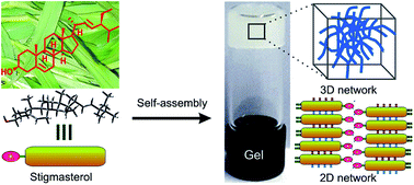 Graphical abstract: Self-assembly of naturally occurring stigmasterol in liquids yielding a fibrillar network and gel